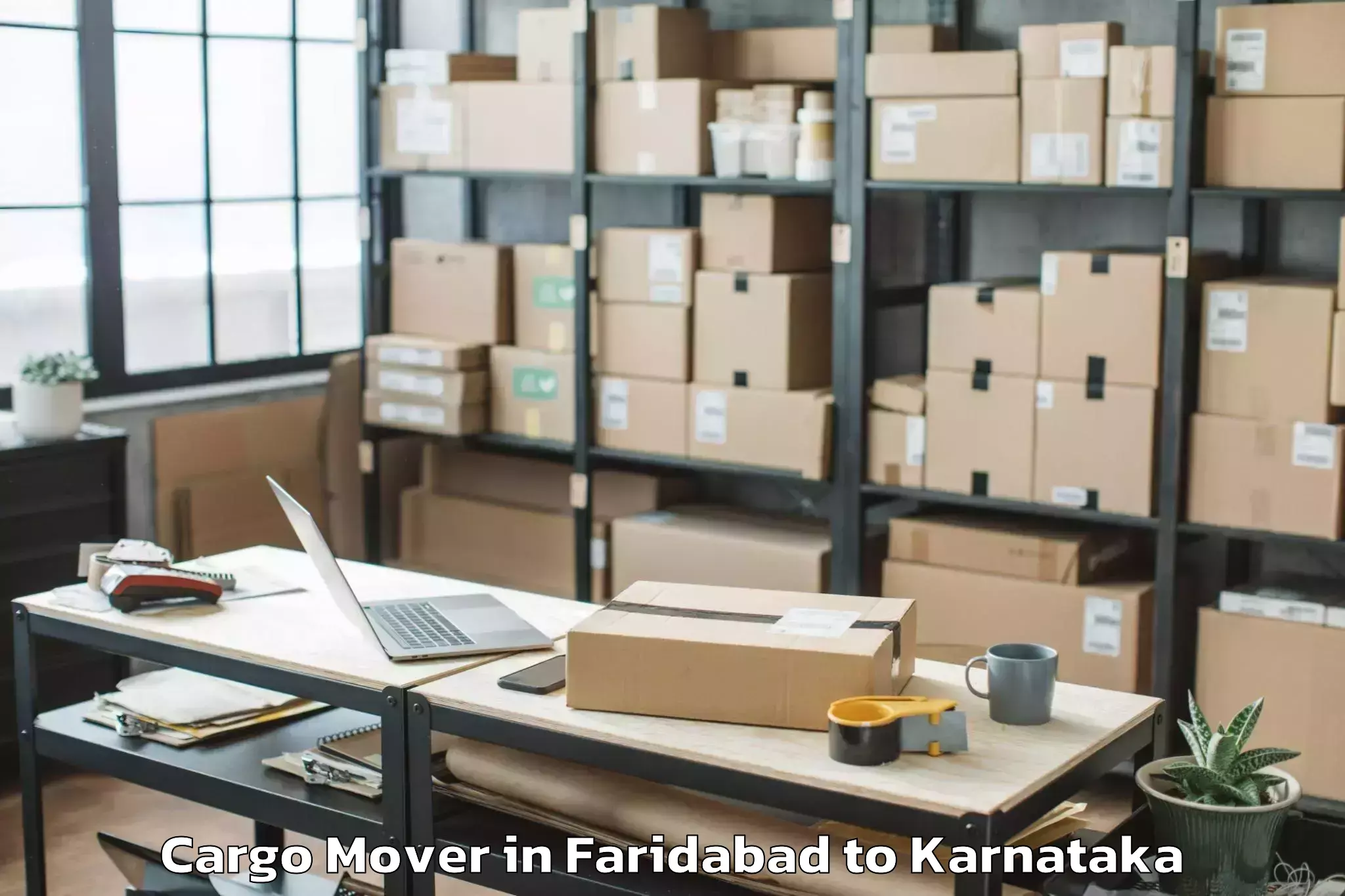 Hassle-Free Faridabad to Harpanahalli Cargo Mover